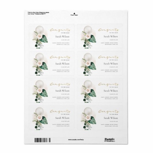 NIEDLICHE GLÜCKWUNSCH DER SCHIEBWEISSEN BALLOONFL (Vorne)