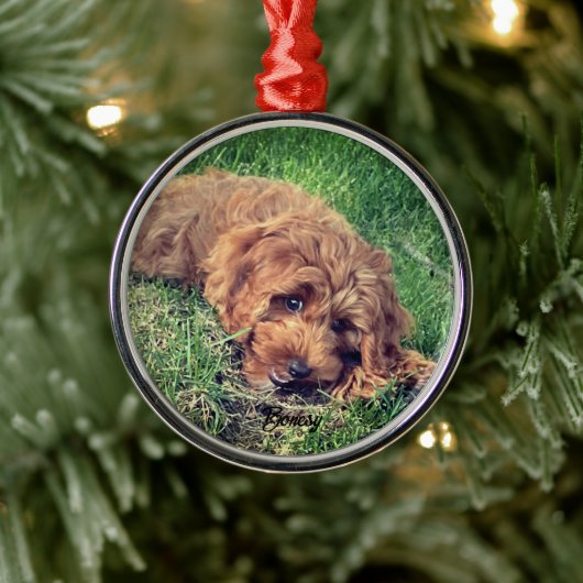 Niedliche Golden Doodle Premium Ornament Aus Metall (Baum)