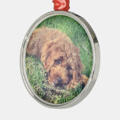Niedliche Golden Doodle Premium Ornament Aus Metall (Links)