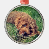 Niedliche Golden Doodle Premium Ornament Aus Metall (Vorne)