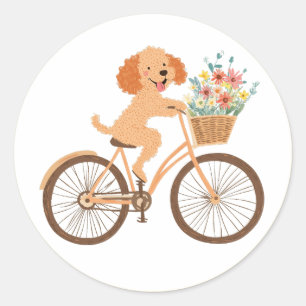 Niedliche Goldendoodle Dog Biking Spring Blumen Runder Aufkleber