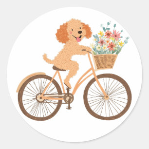 Niedliche Goldendoodle Dog Biking Spring Blumen Runder Aufkleber
