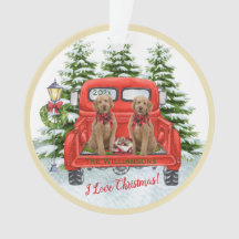 Niedliche Goldendoodle Vintager Rotlastwagen