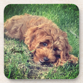 Niedliche goldene Doodle-Getränkekappe Getränkeuntersetzer