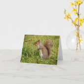 Niedliche graue Eichhörnchen-Blankekarte Karte (Gelbe Blume)