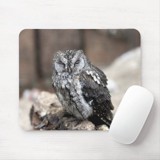 Niedliche graue Eule Mousepad (Mit Mouse)