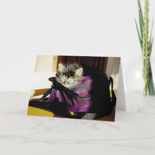 Niedliche graue Kätzchen in purer Überlegung Karte