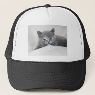 Niedliche graue Katze Zunge raus! Truckerkappe
