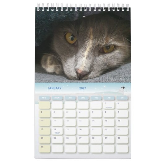 niedliche graue Katzenjacke Fotos 2025 Kalender (Jan 2027)
