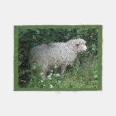 Niedliche graue Schafe essen Fleece Blanket (Vorderseite (Horizontal))