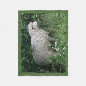 Niedliche graue Schafe essen Fleece Blanket (Vorderseite)