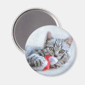 Niedliche graue Tabby Cat mit Weihnachtsmütze Weih Magnet (Vorderseite/Rückseite)