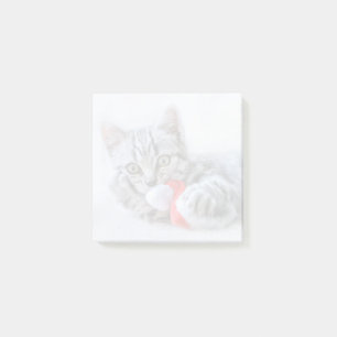 Niedliche graue Tabby Cat mit Weihnachtsmütze Weih Post-it Klebezettel