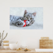 Niedliche graue Tabby Cat mit Weihnachtsmütze Weih Poster (Küche)
