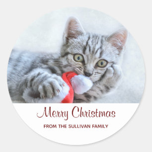 Niedliche graue Tabby Cat mit Weihnachtsmütze Weih Runder Aufkleber