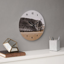 Niedliche graue Tabby Katze Schlafen im Kasten