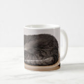 Niedliche graue Tabby Katze Schlafen im Kasten Kaffeetasse (VorderseiteRechts)
