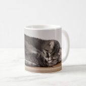 Niedliche graue Tabby Katze Schlafen im Kasten Kaffeetasse (VorderseiteRechts)
