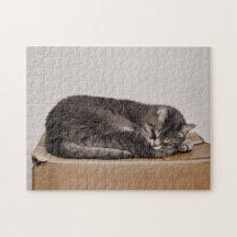 Niedliche graue Tabby Katze Schlafen im Kasten
