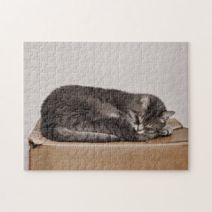 Niedliche graue Tabby Katze Schlafen im Kasten Puzzle