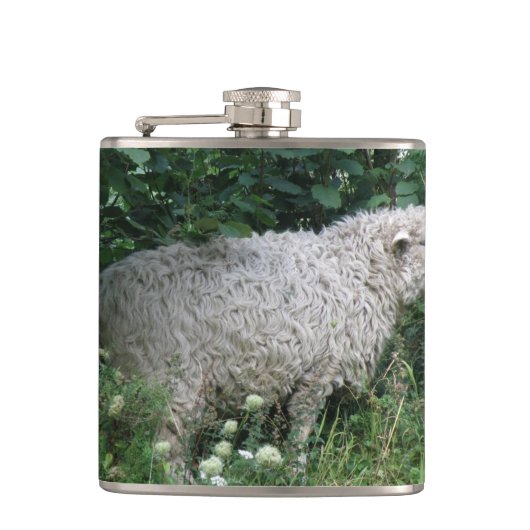 Niedliche Greedy Sheep Eating Flask Flachmann (Vorderseite)