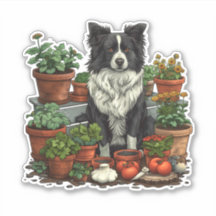 Niedliche Grenz-Collie-Gartenarbeit