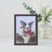 Niedliche Grenz-Collie Heeler Mix Dog Sketch Postkarte (Stehend Vorderseite)