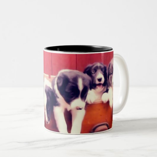 Niedliche Grenz-Kolonie Welpen Zweifarbige Tasse (VorderseiteRechts)