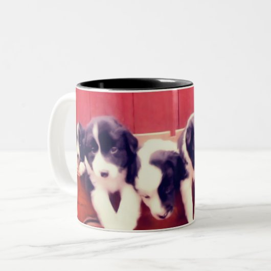 Niedliche Grenz-Kolonie Welpen Zweifarbige Tasse (Vorderseite Links)