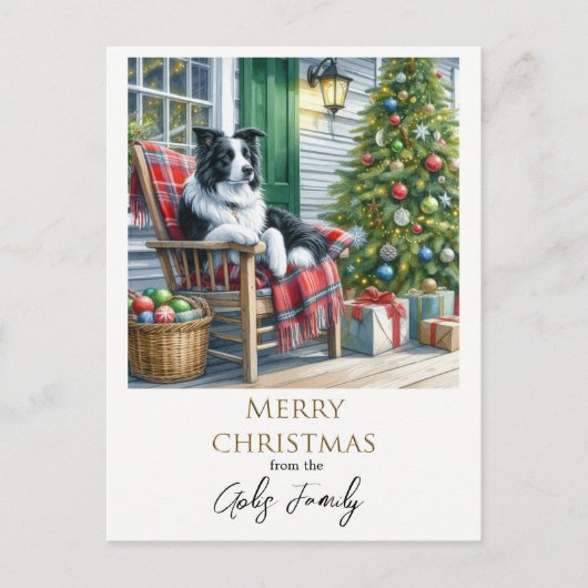 Niedliche Grenze Collie Weihnachtsfeiertag Postkarte (Vorderseite)