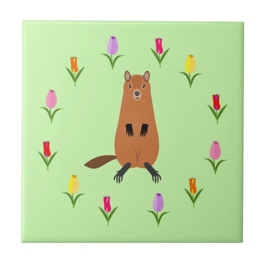 Niedliche Groundhog- und Tulip-Blume Fliese (Vorderseite)