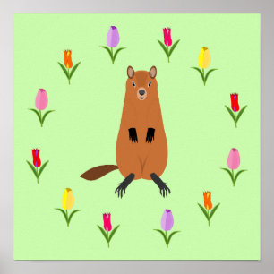 Niedliche Groundhog- und Tulip-Blume Poster