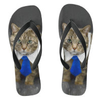 Niedliche grün-mit Augen braune Tabbykatze, die