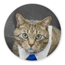 Niedliche grün-mit Augen braune Tabbykatze, die