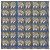 Niedliche grün-mit Augen braune Tabbykatze, die