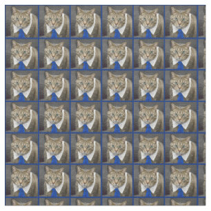 Niedliche grün-mit Augen braune Tabbykatze, die Stoff