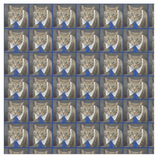 Niedliche grün-mit Augen braune Tabbykatze, die Stoff (Nahaufnahme)