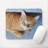 Niedliche grüne Augen Orange Tabby Cat Mousepad (Mit Mouse)