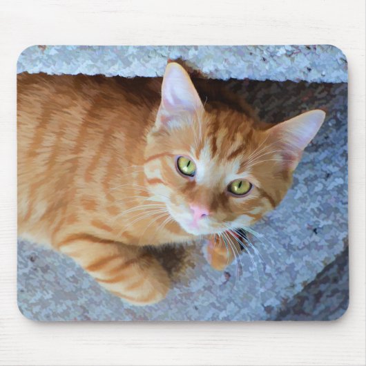 Niedliche grüne Augen Orange Tabby Cat Mousepad (Vorne)