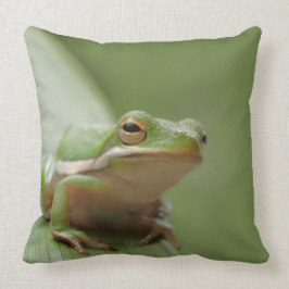 Niedliche grüne Baum-Frosch-dekorative wild Kissen