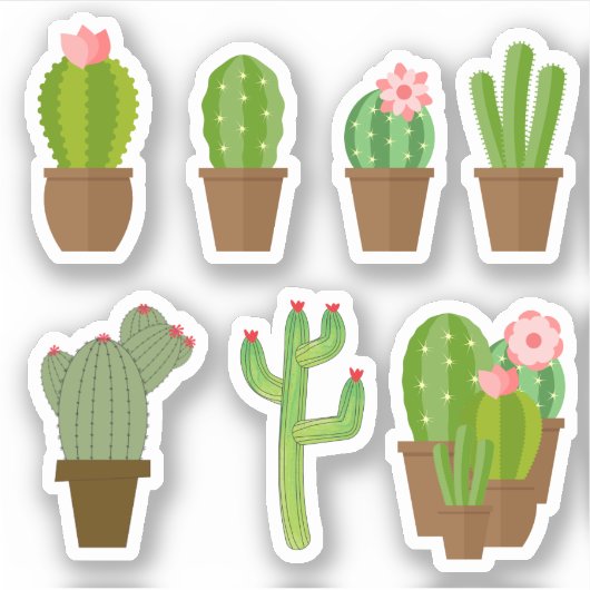 Niedliche grüne Rosa und rote blühende Kakteen Aufkleber (Vorderseite)