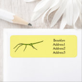 Niedliche grüne Stangen Insekten mit glücklichen G (Insitu)