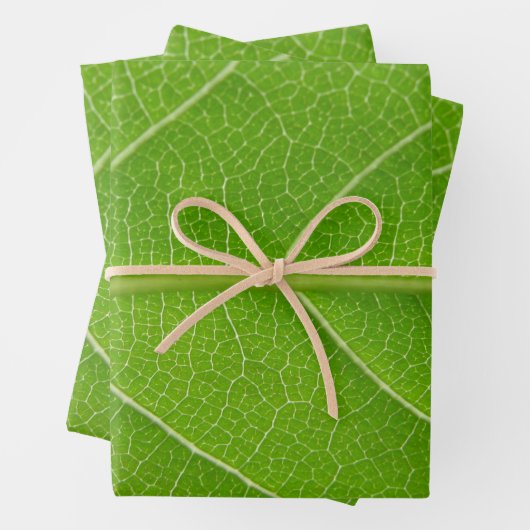 Niedliche Grüntöne mit Blätterblättern, Nah aus Gr Geschenkpapier Set (Beispiel)