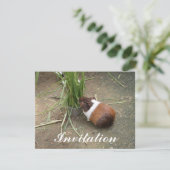 Niedliche Guinea Einladung (Stehend Vorderseite)