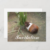 Niedliche Guinea Einladung (Vorne/Hinten)