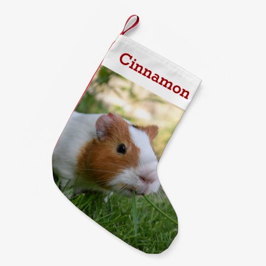 Niedliche Guinea Foto und Name Personalisiert Kleiner Weihnachtsstrumpf (Vorderansicht (hängend))
