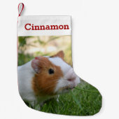 Niedliche Guinea Foto und Name Personalisiert Kleiner Weihnachtsstrumpf (Vorderseite)