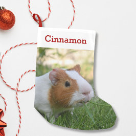 Niedliche Guinea Foto und Name Personalisiert Kleiner Weihnachtsstrumpf