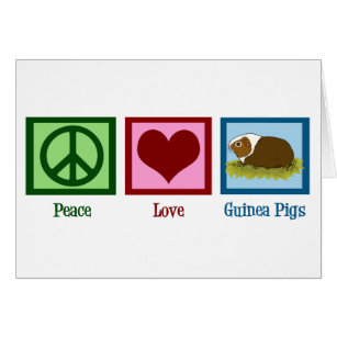 Niedliche Guinea Liebe Schweinekarte Guinea Schwei