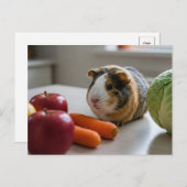 Niedliche Guinea Pig Cavia Apple Karotte Postkarte (Vorne/Hinten)